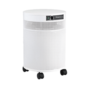 Airpura R600 Everyday Air Purifier