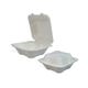 Compostable Bagasse Take Out Container (6